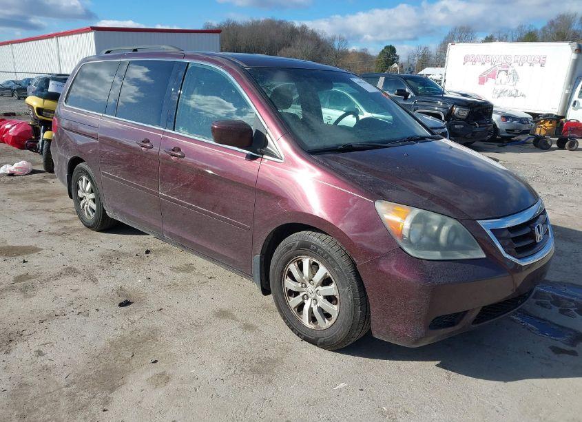 2008 Honda Odyssey EX-L (VIN 5FNRL38668B104076) main photo