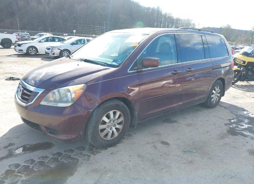 Photo 2 of 2008 Honda Odyssey EX-L (VIN 5FNRL38668B104076)