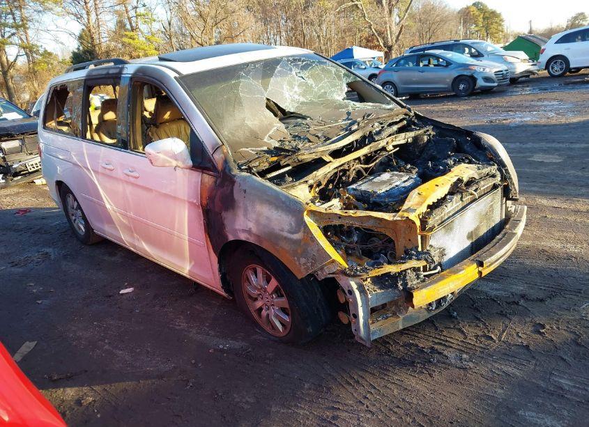 2008 Honda Odyssey EX-L (VIN 5FNRL38668B416270) main photo