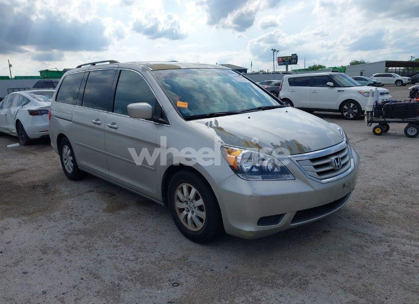 2009 Honda Odyssey EX-L (VIN 5FNRL38669B003377) main photo