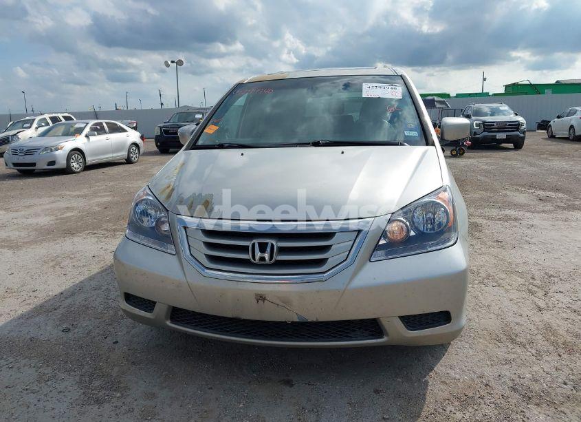 Photo 6 of 2009 Honda Odyssey EX-L (VIN 5FNRL38669B003377)