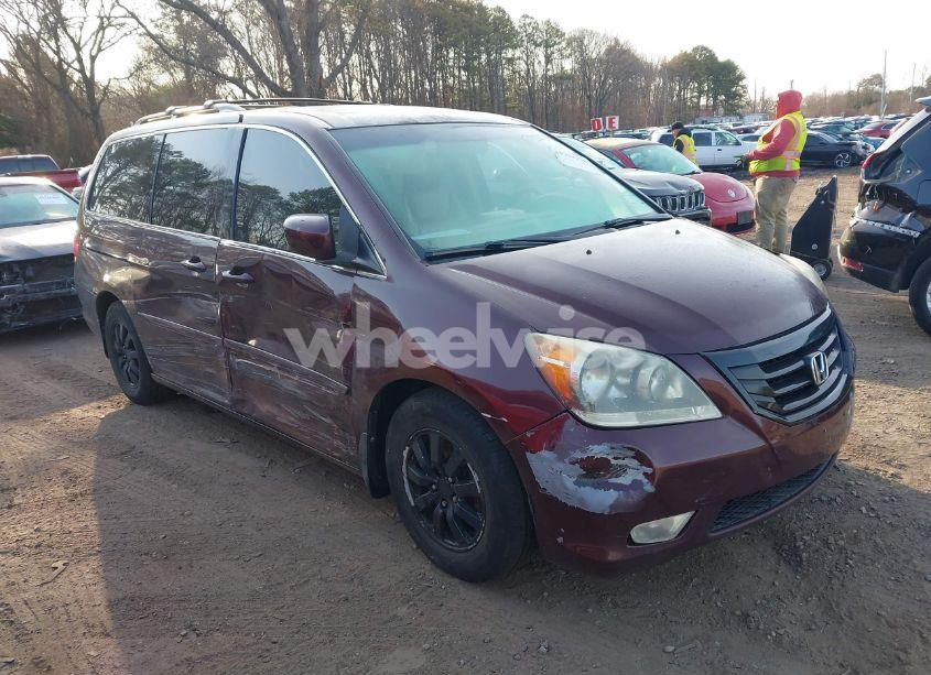 2009 Honda Odyssey EX-L (VIN 5FNRL38669B003539) main photo