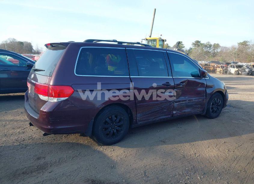 Photo 13 of 2009 Honda Odyssey EX-L (VIN 5FNRL38669B003539)