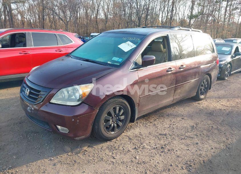 Photo 2 of 2009 Honda Odyssey EX-L (VIN 5FNRL38669B003539)