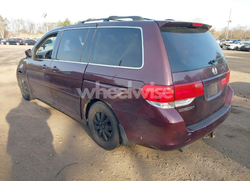 Photo 3 of 2009 Honda Odyssey EX-L (VIN 5FNRL38669B003539)