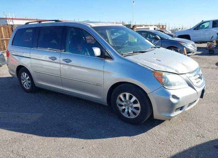 2009 Honda Odyssey EX-L (VIN 5FNRL38669B014542) main photo