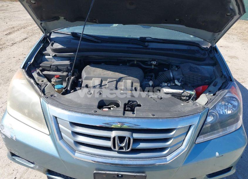 Photo 10 of 2009 Honda Odyssey EX-L (VIN 5FNRL38669B040087)