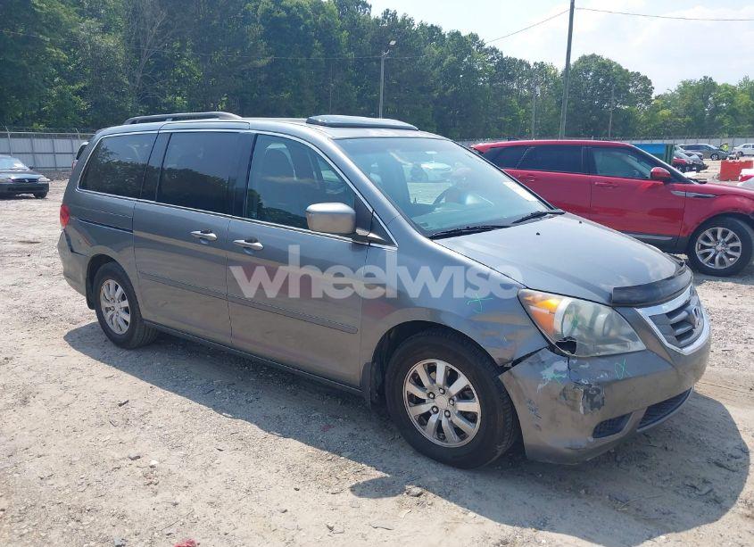 2009 Honda Odyssey EX-L (VIN 5FNRL38669B401964) main photo
