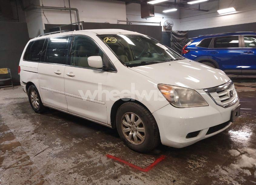 2009 Honda Odyssey EX-L (VIN 5FNRL38669B410972) main photo