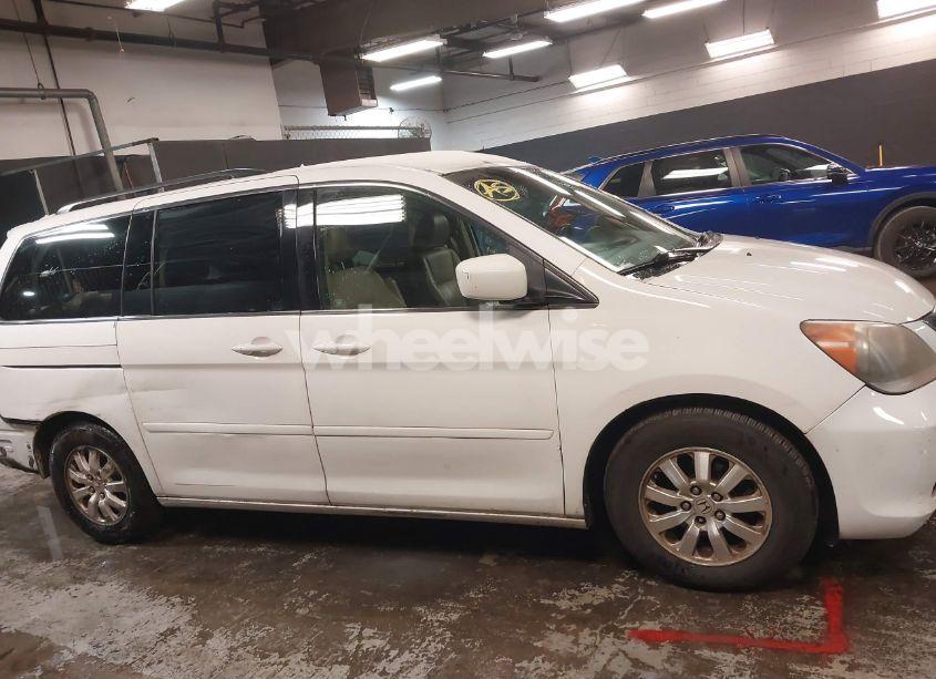 Photo 14 of 2009 Honda Odyssey EX-L (VIN 5FNRL38669B410972)
