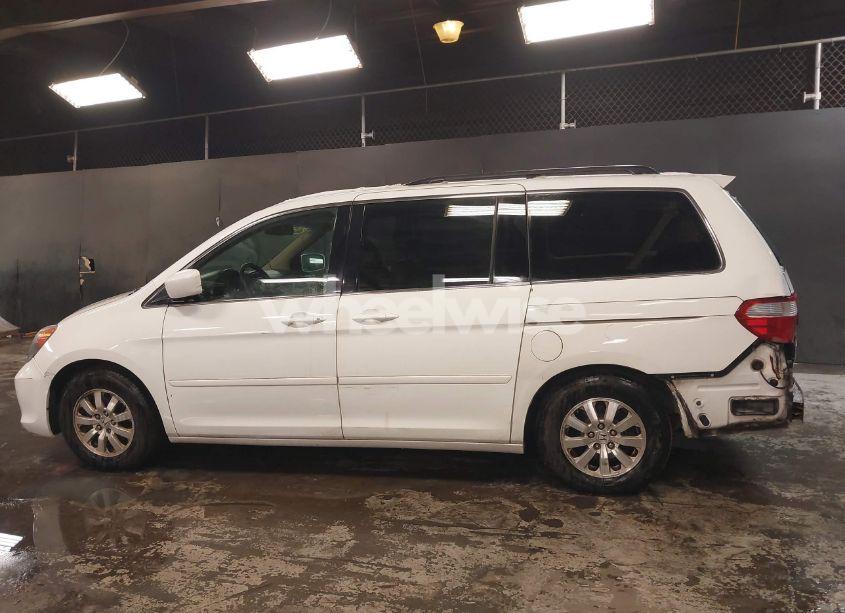 Photo 15 of 2009 Honda Odyssey EX-L (VIN 5FNRL38669B410972)