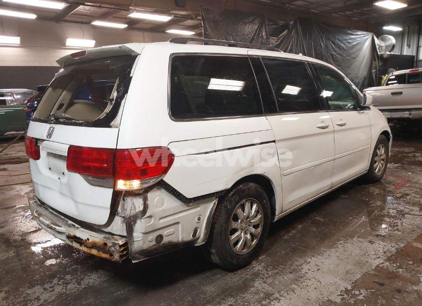 Photo 4 of 2009 Honda Odyssey EX-L (VIN 5FNRL38669B410972)