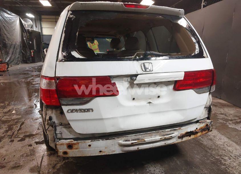 Photo 6 of 2009 Honda Odyssey EX-L (VIN 5FNRL38669B410972)