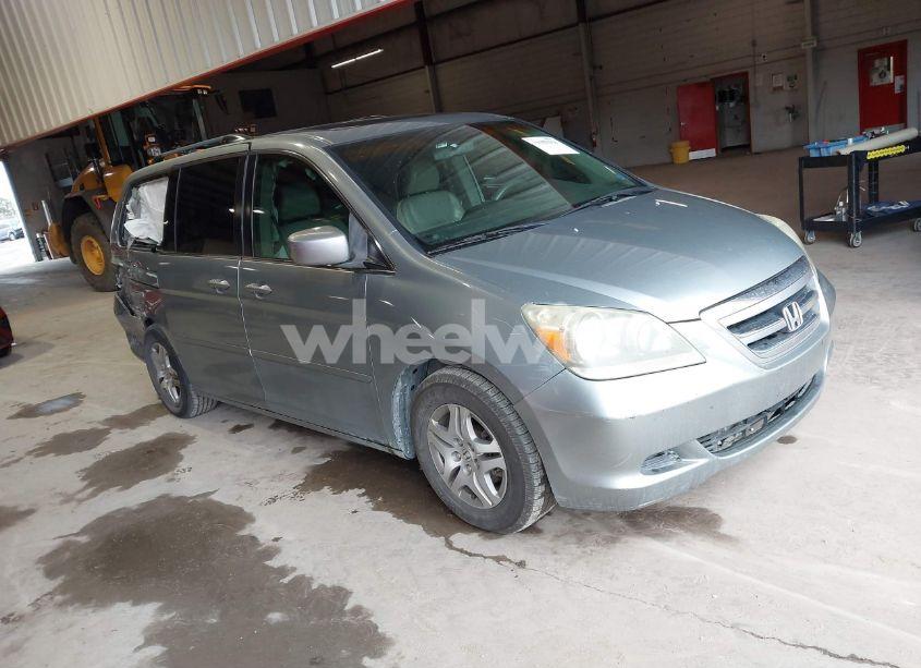 2005 Honda Odyssey EX-L (VIN 5FNRL38675B060407) main photo