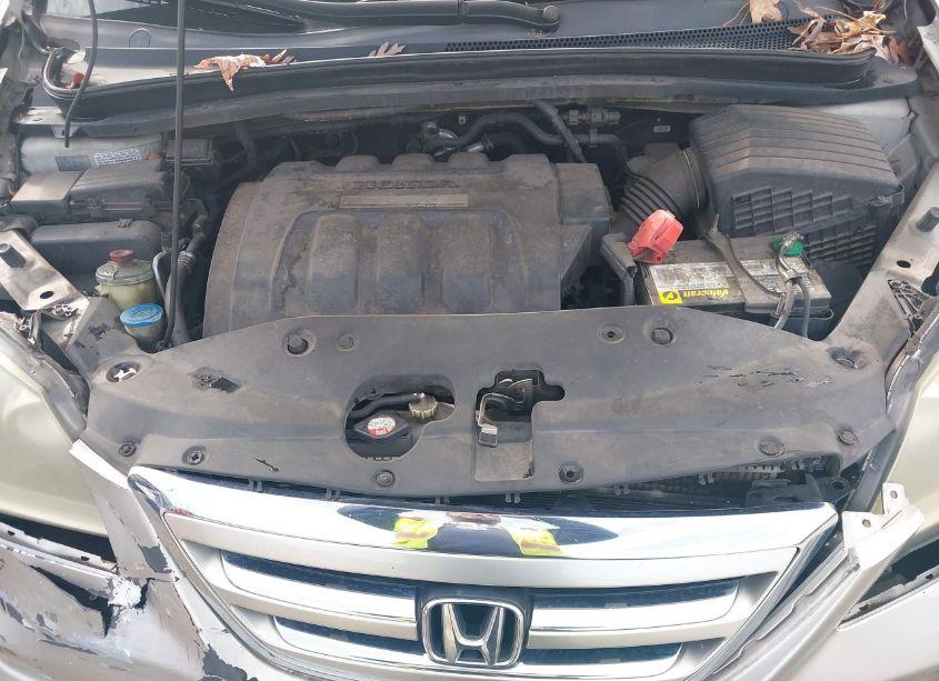 Photo 10 of 2006 Honda Odyssey EX-L (VIN 5FNRL38676B403976)