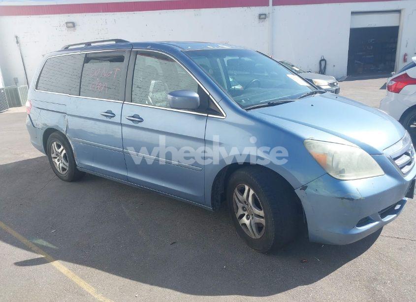 2007 Honda Odyssey EX-L (VIN 5FNRL38677B037387) main photo