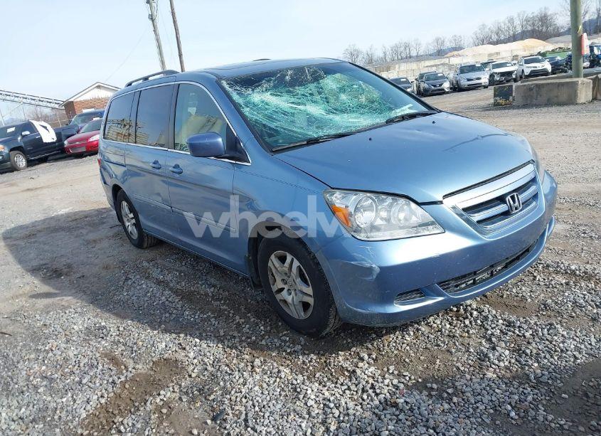 2007 Honda Odyssey EX-L (VIN 5FNRL38677B077257) main photo