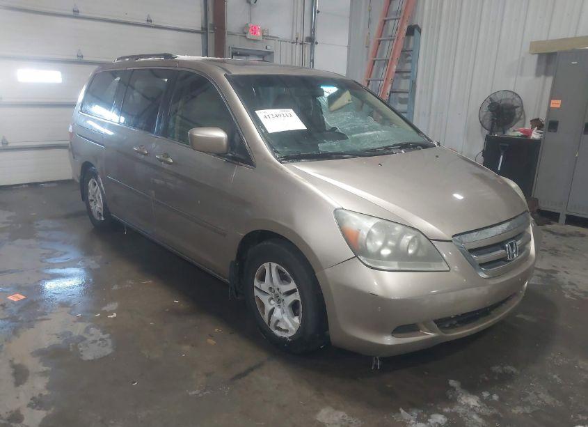 2007 Honda Odyssey EX-L (VIN 5FNRL38677B444898) main photo