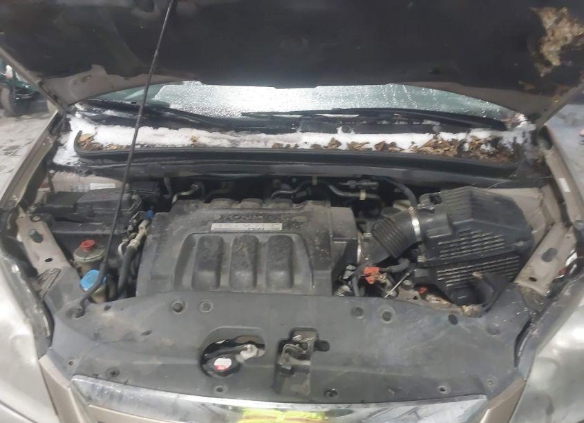 Photo 10 of 2007 Honda Odyssey EX-L (VIN 5FNRL38677B444898)