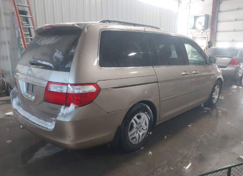 Photo 4 of 2007 Honda Odyssey EX-L (VIN 5FNRL38677B444898)