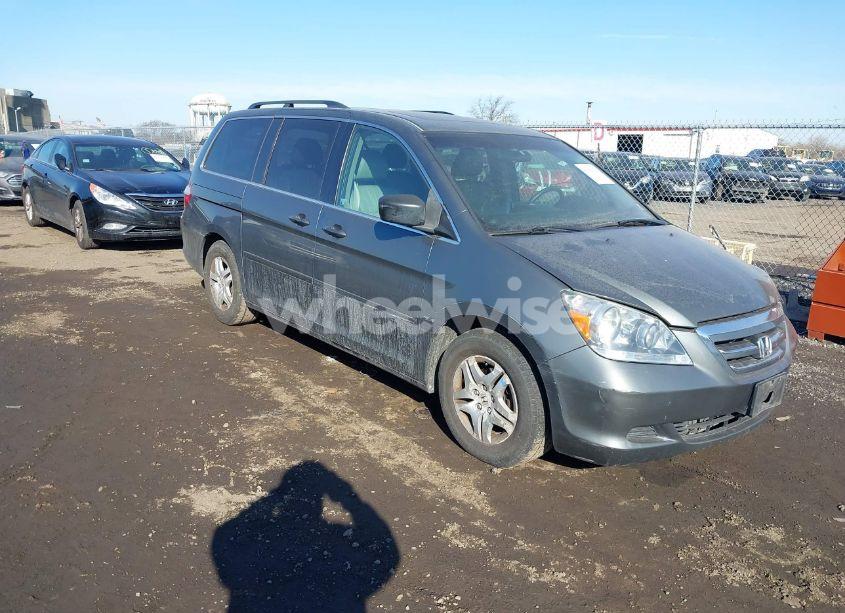 2007 Honda Odyssey EX-L (VIN 5FNRL38677B448370) main photo