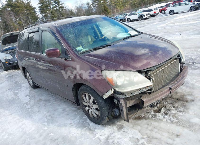 2009 Honda Odyssey EX-L (VIN 5FNRL38679B405263) main photo