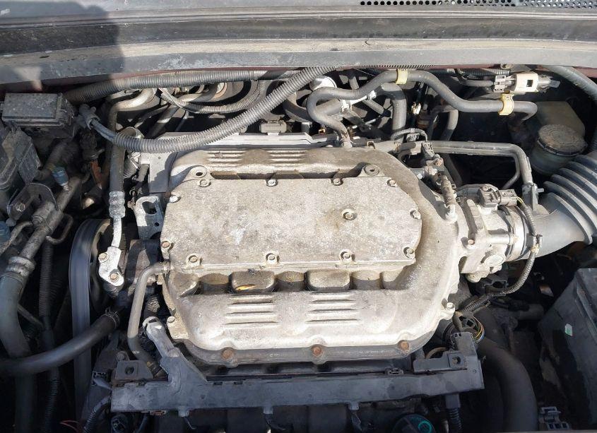 Photo 10 of 2009 Honda Odyssey EX-L (VIN 5FNRL38679B405263)