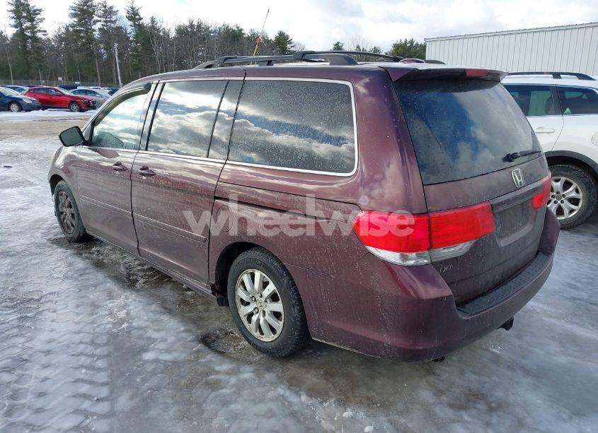 Photo 3 of 2009 Honda Odyssey EX-L (VIN 5FNRL38679B405263)