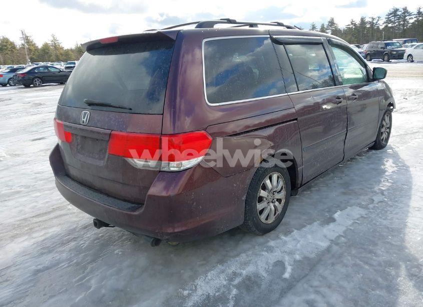 Photo 4 of 2009 Honda Odyssey EX-L (VIN 5FNRL38679B405263)