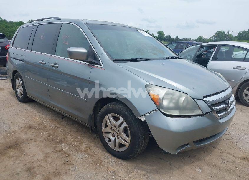 2005 Honda Odyssey EX-L (VIN 5FNRL38685B031644) main photo