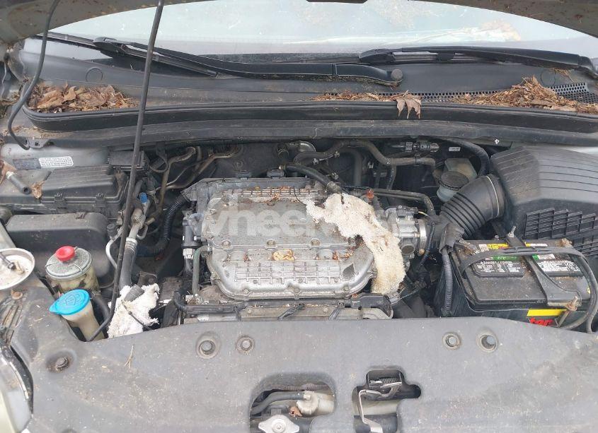 Photo 10 of 2005 Honda Odyssey EX-L (VIN 5FNRL38685B031644)