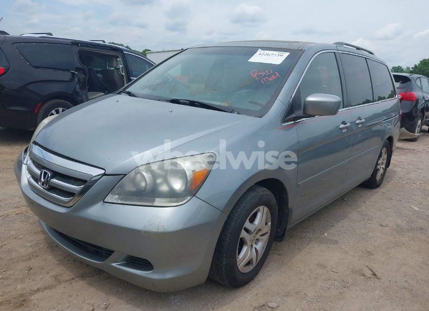 Photo 2 of 2005 Honda Odyssey EX-L (VIN 5FNRL38685B031644)