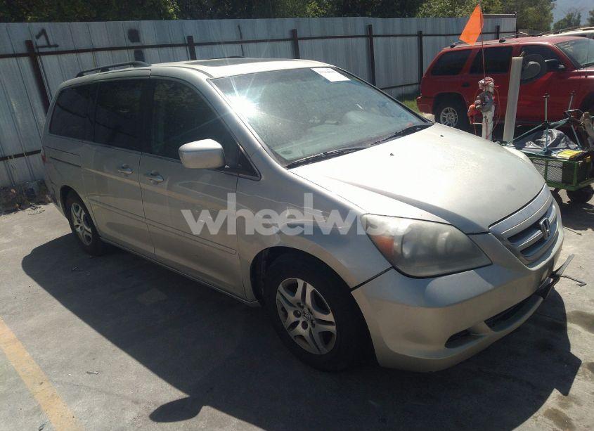 2005 Honda Odyssey EX-L (VIN 5FNRL38685B055930) main photo