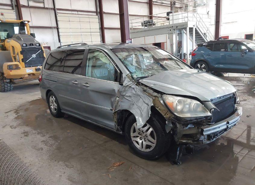2005 Honda Odyssey EX-L (VIN 5FNRL38685B068502) main photo