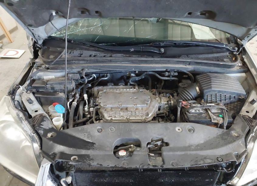 Photo 10 of 2005 Honda Odyssey EX-L (VIN 5FNRL38685B068502)