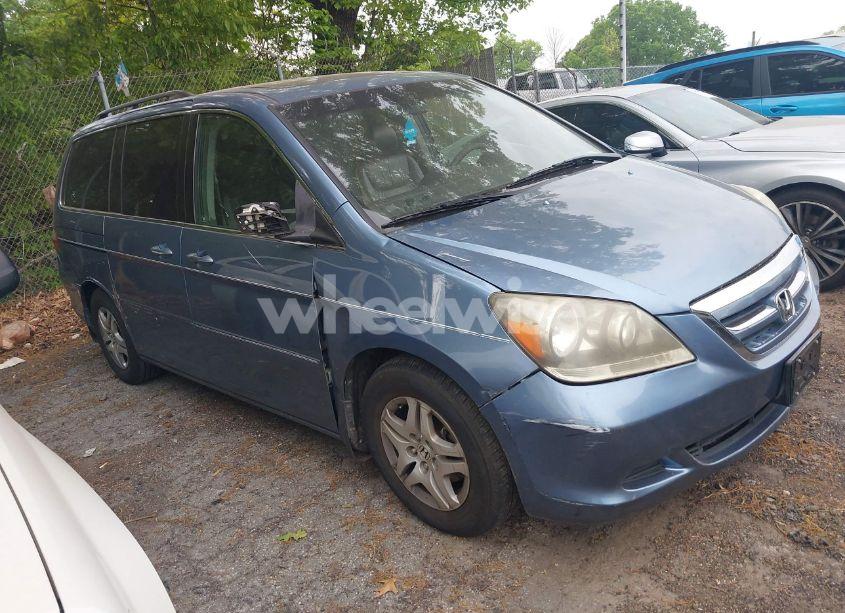 2005 Honda Odyssey EX-L (VIN 5FNRL38685B113633) main photo
