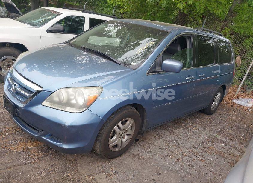 Photo 2 of 2005 Honda Odyssey EX-L (VIN 5FNRL38685B113633)