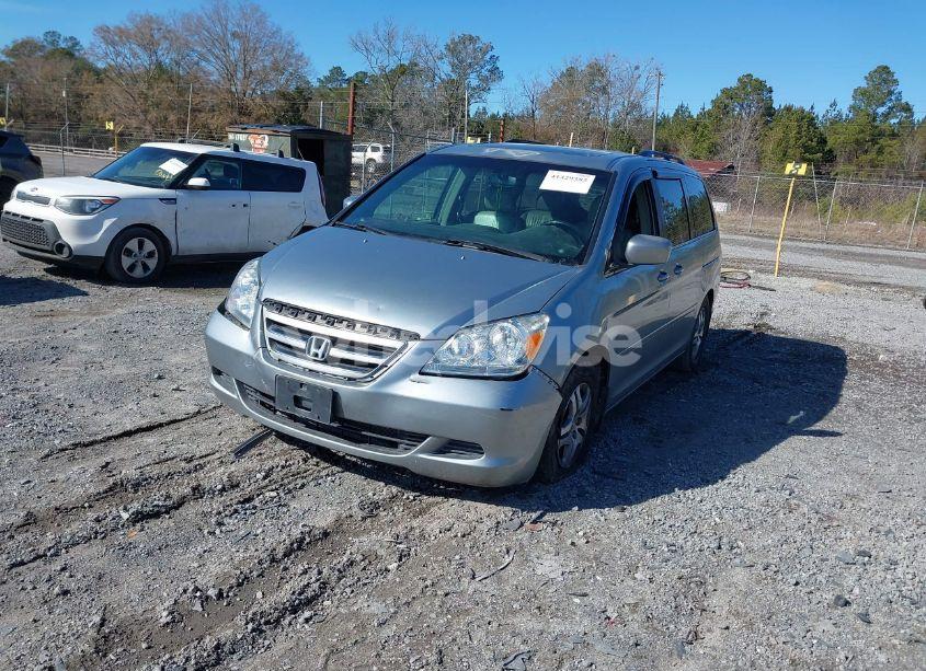 Photo 2 of 2006 Honda Odyssey EX-L (VIN 5FNRL38686B090811)