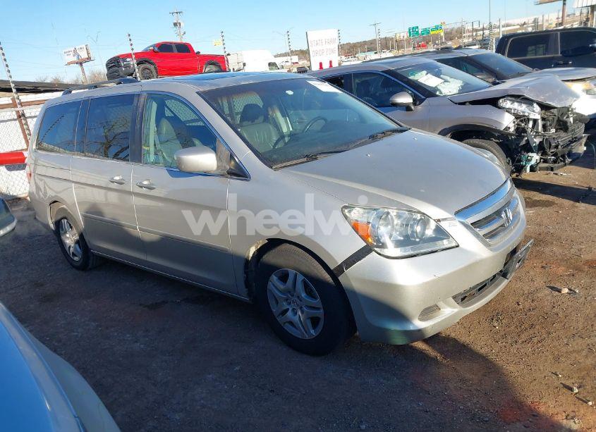 2006 Honda Odyssey EX-L (VIN 5FNRL38686B426568) main photo
