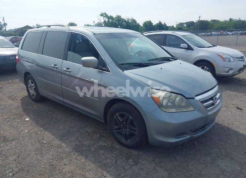 2007 Honda Odyssey EX-L (VIN 5FNRL38687B033879) main photo