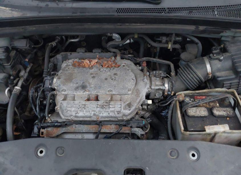 Photo 10 of 2007 Honda Odyssey EX-L (VIN 5FNRL38687B077283)