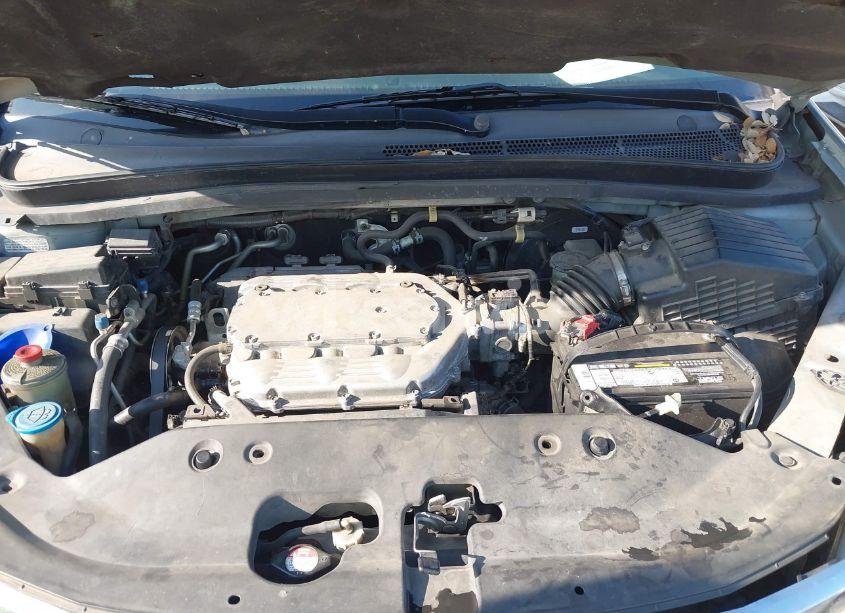 Photo 10 of 2008 Honda Odyssey EX-L (VIN 5FNRL38688B084834)