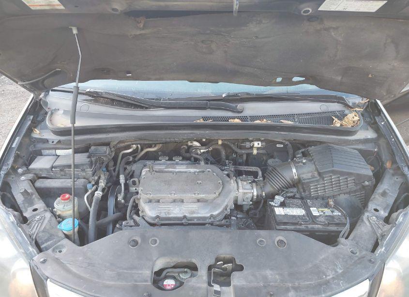 Photo 10 of 2009 Honda Odyssey EX-L (VIN 5FNRL38689B039278)