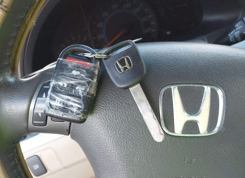 Photo 11 of 2009 Honda Odyssey EX-L (VIN 5FNRL38689B039278)