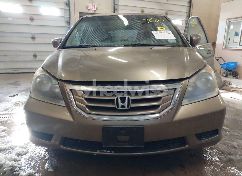 Photo 11 of 2009 Honda Odyssey EX-L (VIN 5FNRL38689B053309)