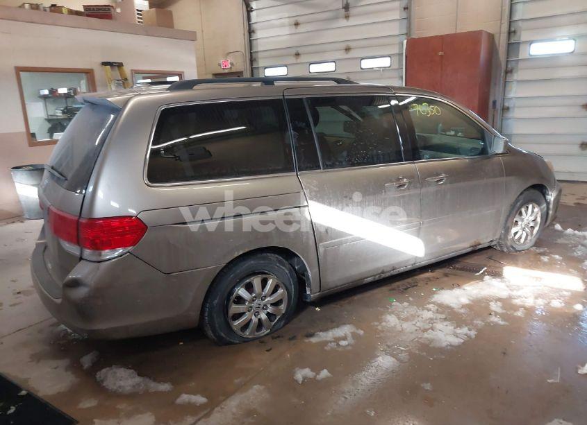 Photo 4 of 2009 Honda Odyssey EX-L (VIN 5FNRL38689B053309)