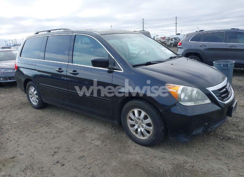2009 Honda Odyssey EX-L (VIN 5FNRL38689B055710) main photo