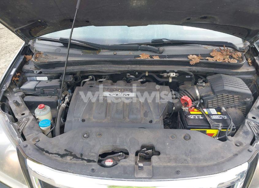 Photo 10 of 2009 Honda Odyssey EX-L (VIN 5FNRL38689B055710)