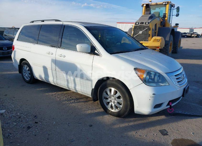 2009 Honda Odyssey EX-L (VIN 5FNRL38689B401478) main photo