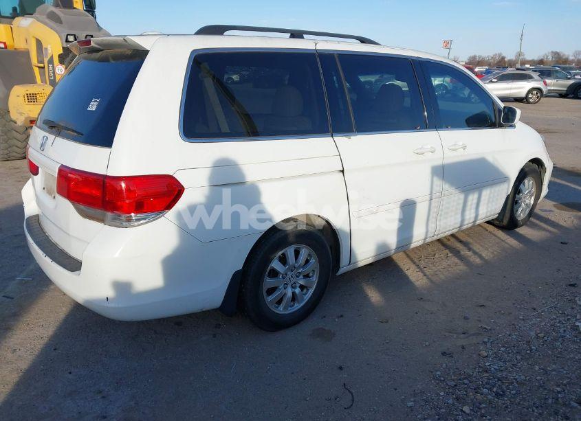 Photo 4 of 2009 Honda Odyssey EX-L (VIN 5FNRL38689B401478)